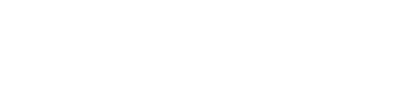 Beechcraft white logo